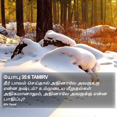 யோபு 35:6 TAMIRV Bible Verse Image