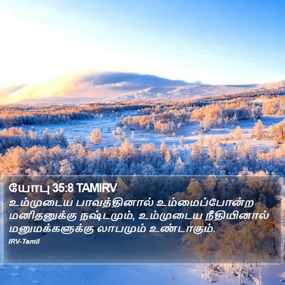 யோபு 35:8 TAMIRV Bible Verse Image