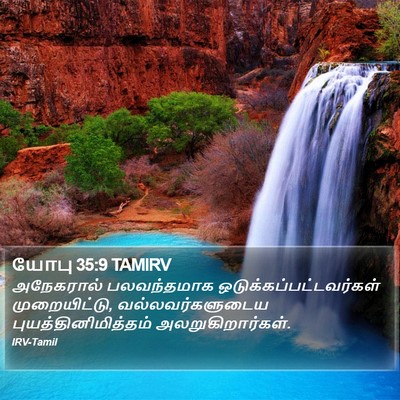 யோபு 35:9 TAMIRV Bible Verse Image