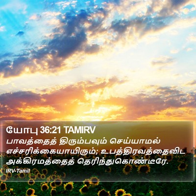 யோபு 36:21 TAMIRV Bible Verse Image
