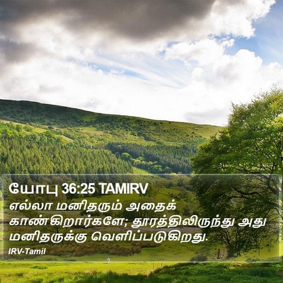 யோபு 36:25 TAMIRV Bible Verse Image