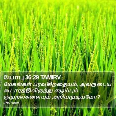 யோபு 36:29 TAMIRV Bible Verse Image