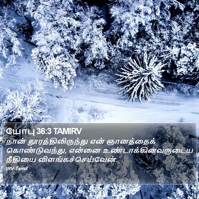 யோபு 36:3 TAMIRV Bible Verse Image