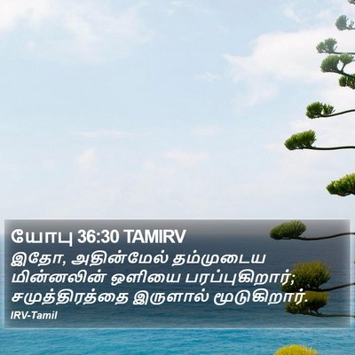 யோபு 36:30 TAMIRV Bible Verse Image