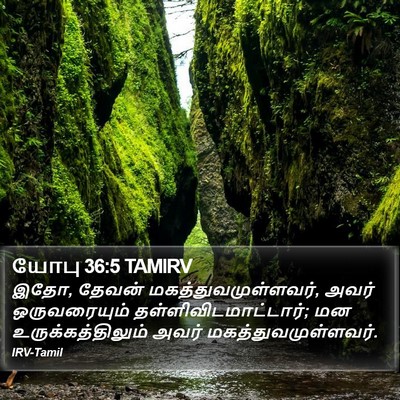யோபு 36:5 TAMIRV Bible Verse Image