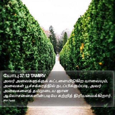 யோபு 37:12 TAMIRV Bible Verse Image