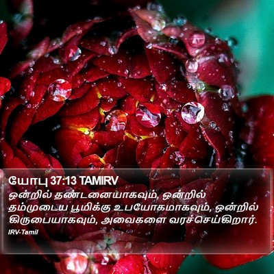 யோபு 37:13 TAMIRV Bible Verse Image