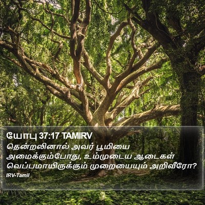 யோபு 37:17 TAMIRV Bible Verse Image