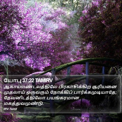 யோபு 37:22 TAMIRV Bible Verse Image