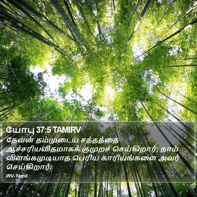 யோபு 37:5 TAMIRV Bible Verse Image