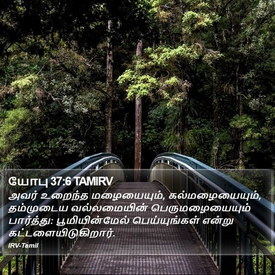 யோபு 37:6 TAMIRV Bible Verse Image