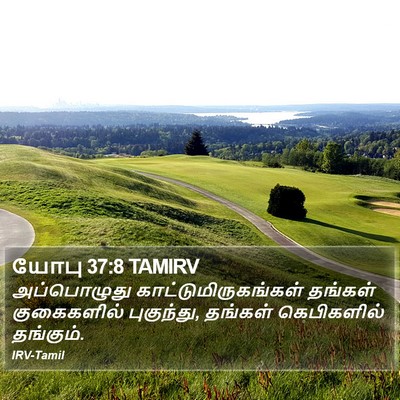 யோபு 37:8 TAMIRV Bible Verse Image