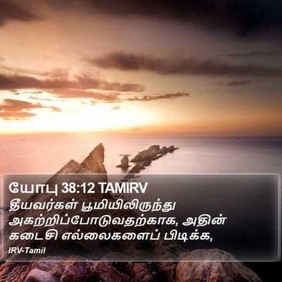 யோபு 38:12 TAMIRV Bible Verse Image