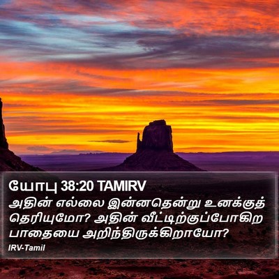 யோபு 38:20 TAMIRV Bible Verse Image