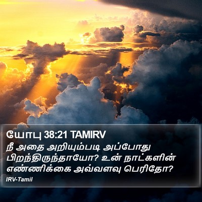 யோபு 38:21 TAMIRV Bible Verse Image