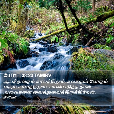 யோபு 38:23 TAMIRV Bible Verse Image