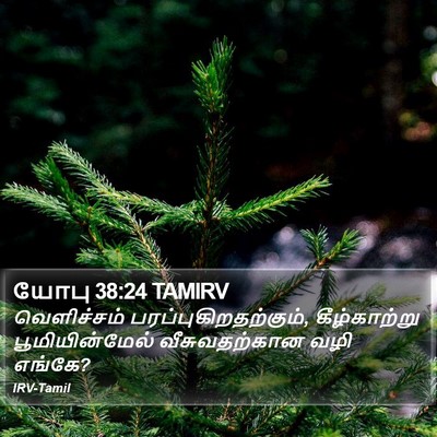 யோபு 38:24 TAMIRV Bible Verse Image