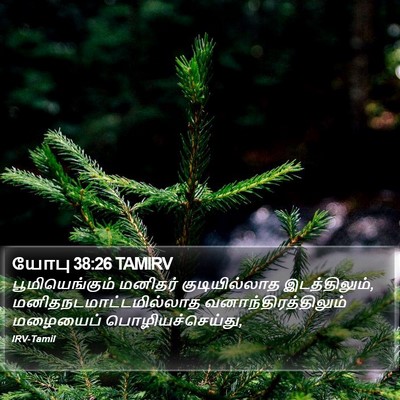 யோபு 38:26 TAMIRV Bible Verse Image