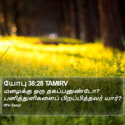 யோபு 38:28 TAMIRV Bible Verse Image