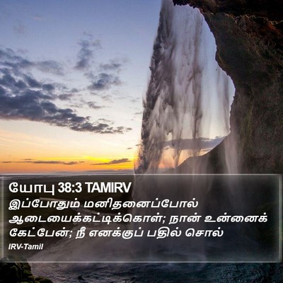 யோபு 38:3 TAMIRV Bible Verse Image