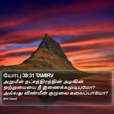 யோபு 38:31 TAMIRV Bible Verse Image