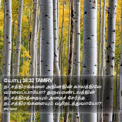 யோபு 38:32 TAMIRV Bible Verse Image