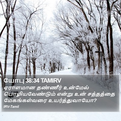 யோபு 38:34 TAMIRV Bible Verse Image