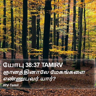 யோபு 38:37 TAMIRV Bible Verse Image