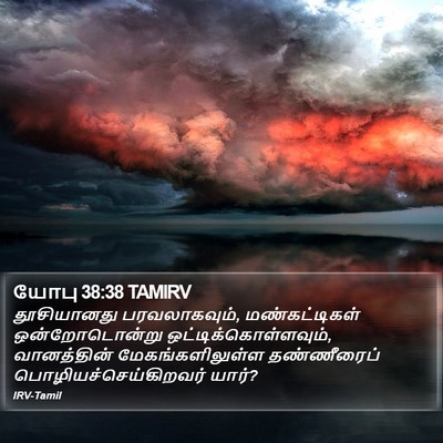 யோபு 38:38 TAMIRV Bible Verse Image