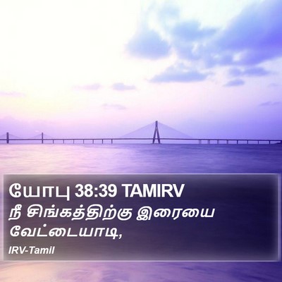 யோபு 38:39 TAMIRV Bible Verse Image