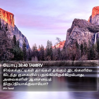 யோபு 38:40 TAMIRV Bible Verse Image
