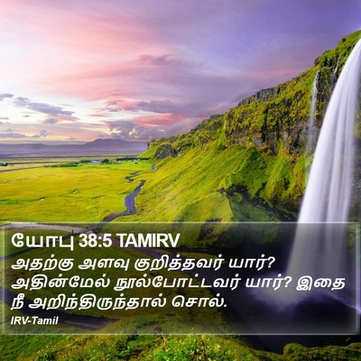 யோபு 38:5 TAMIRV Bible Verse Image