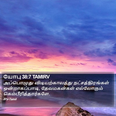 யோபு 38:7 TAMIRV Bible Verse Image