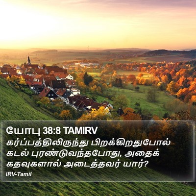 யோபு 38:8 TAMIRV Bible Verse Image