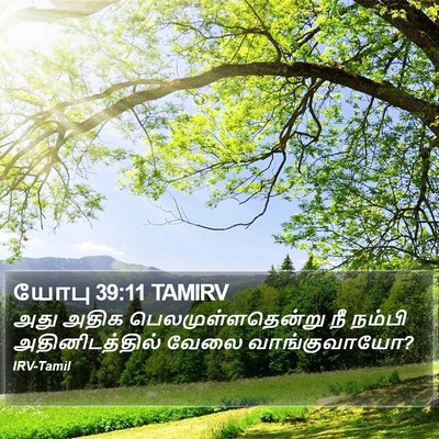 யோபு 39:11 TAMIRV Bible Verse Image