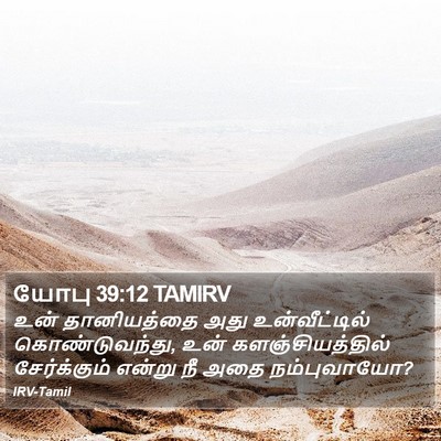 யோபு 39:12 TAMIRV Bible Verse Image