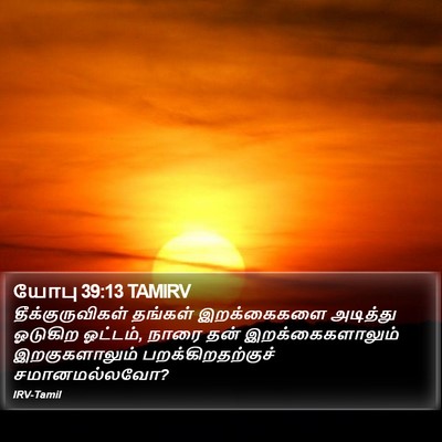 யோபு 39:13 TAMIRV Bible Verse Image