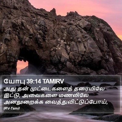 யோபு 39:14 TAMIRV Bible Verse Image