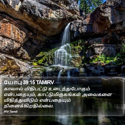 யோபு 39:15 TAMIRV Bible Verse Image