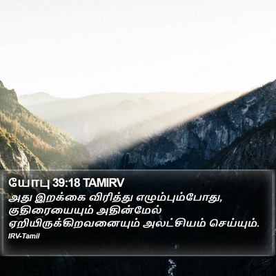 யோபு 39:18 TAMIRV Bible Verse Image
