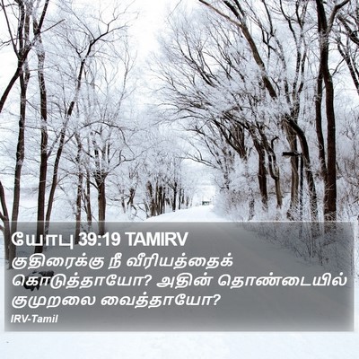 யோபு 39:19 TAMIRV Bible Verse Image