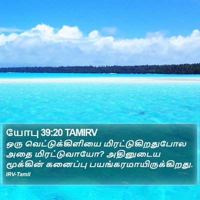 யோபு 39:20 TAMIRV Bible Verse Image