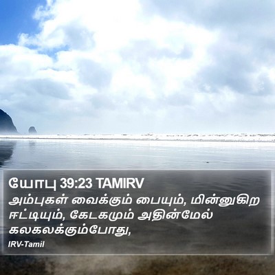 யோபு 39:23 TAMIRV Bible Verse Image