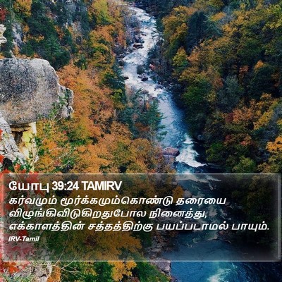 யோபு 39:24 TAMIRV Bible Verse Image