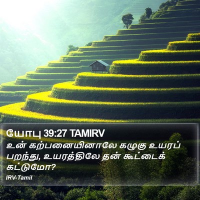 யோபு 39:27 TAMIRV Bible Verse Image