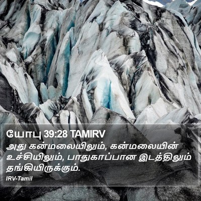 யோபு 39:28 TAMIRV Bible Verse Image