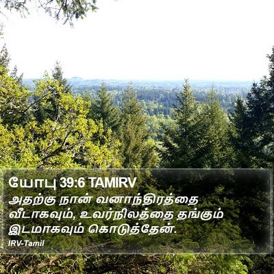 யோபு 39:6 TAMIRV Bible Verse Image