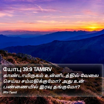 யோபு 39:9 TAMIRV Bible Verse Image