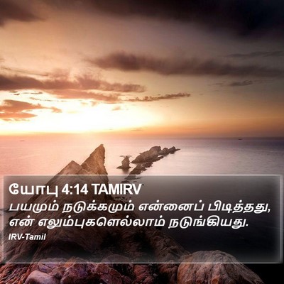 யோபு 4:14 TAMIRV Bible Verse Image