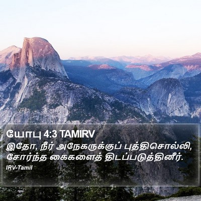 யோபு 4:3 TAMIRV Bible Verse Image